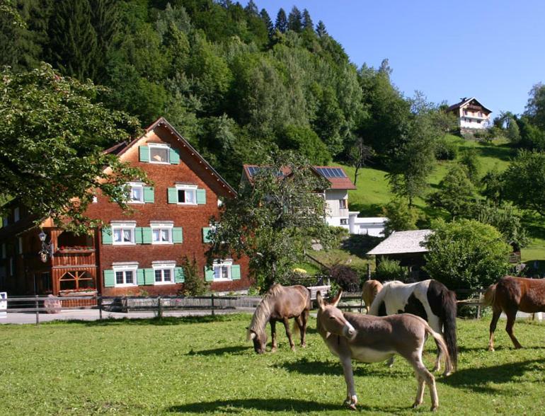 Hotel Gasthaus Schaefle Bürserberg Exteriör bild