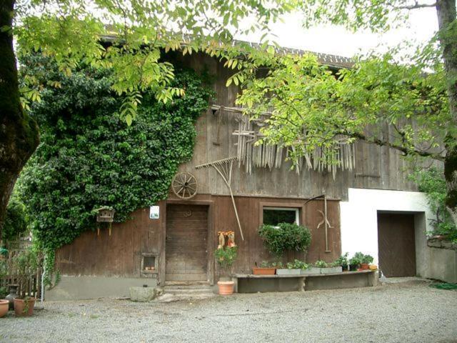 Hotel Gasthaus Schaefle Bürserberg Exteriör bild